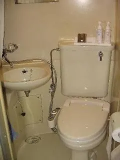 فندق ياناجيبسي طوكيو 0*,  اليابان