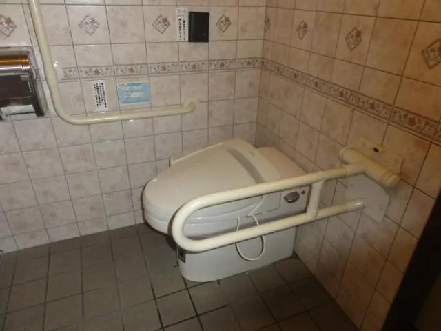 Hotel Yanagibashi Tokyo